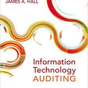 Information Technology Auditing