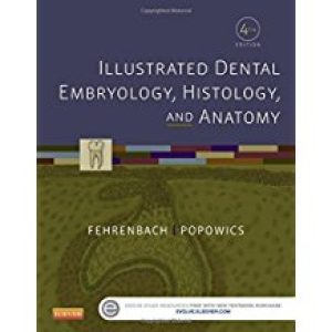 Dental Embryology Histology and Anatomy