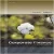 Corporate Finance A Focused Approach 5th Edition By Ehrhardt, Michael C. – Test Bnak